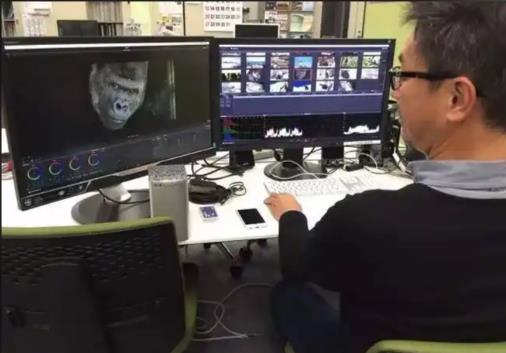 你的视频为什么没人看？可能剪辑思路就错在这里！ - 美迪教育